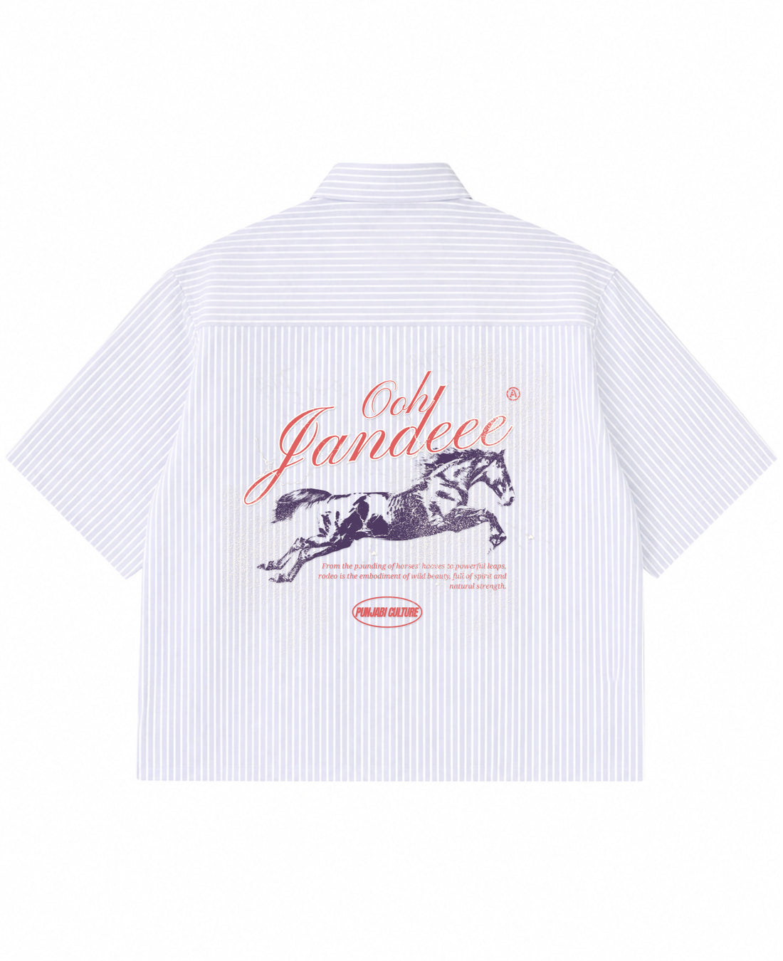 Blue Striped Oxford Boxy Shirt Front Design