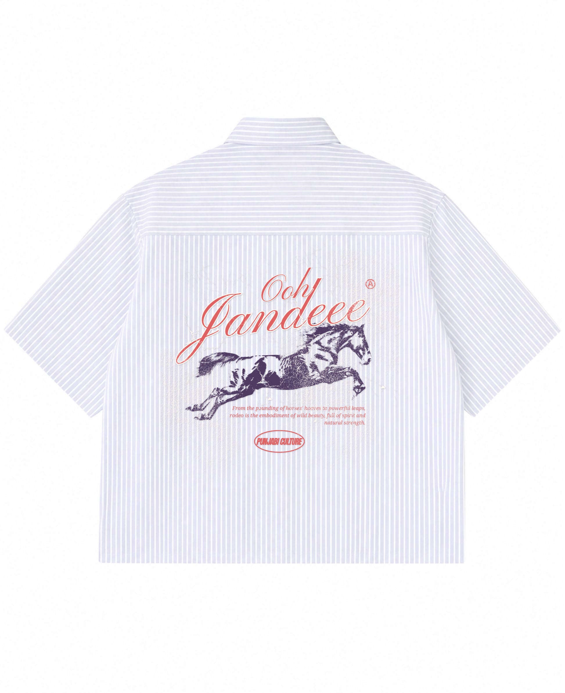 Blue Striped Oxford Boxy Shirt Back Design