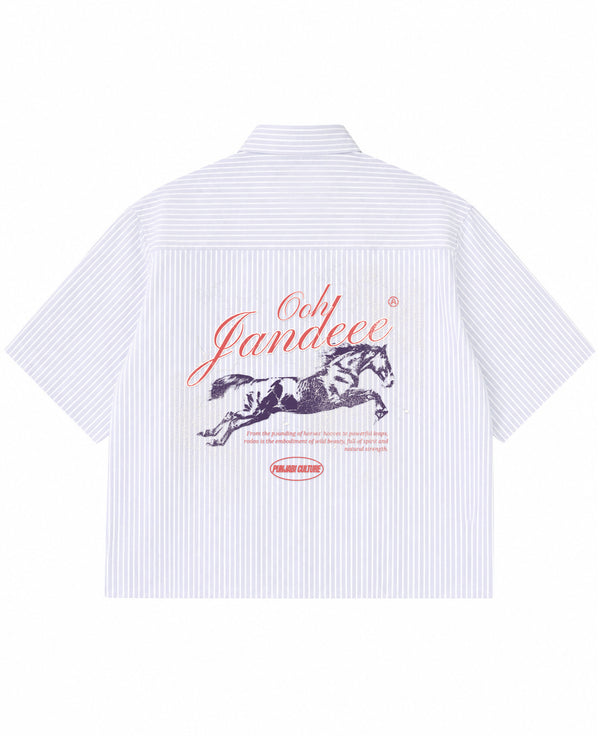 Blue Striped Oxford Boxy Shirt Back Design